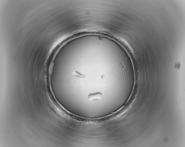 X0000093611114200710291159