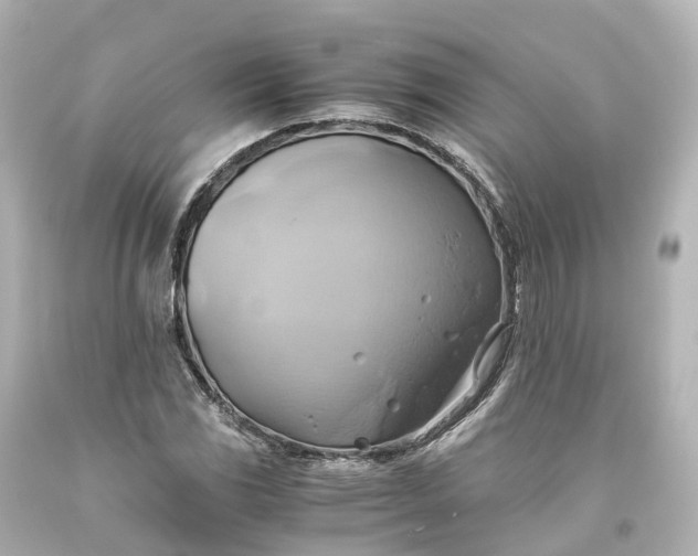 X0000093611117200710291159