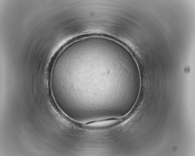 X0000093611118200710291159