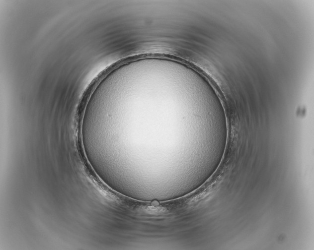 X0000093611119200710291159