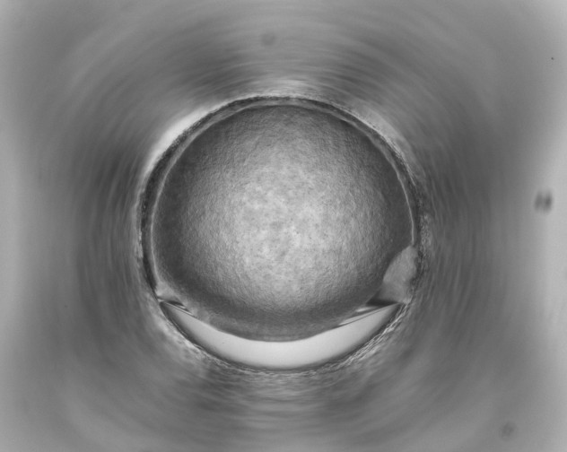X0000093611120200710291159