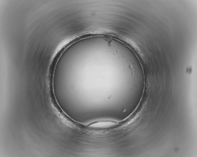 X0000093611122200710291159