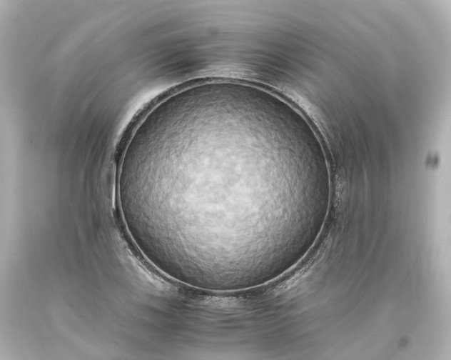 X0000093611123200710291159