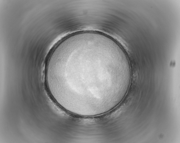 X0000093611126200710291159