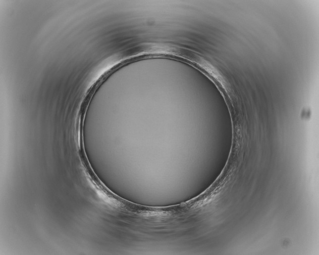 X0000093611127200710291159