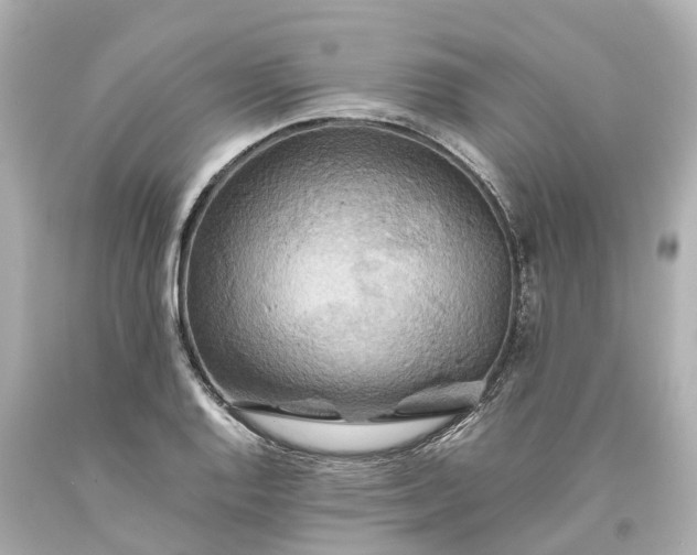 X0000093611128200710291200