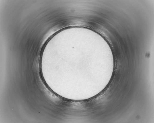 X0000093611130200710291200
