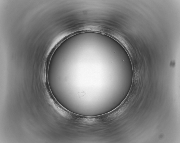 X0000093611131200710291200