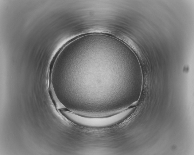 X0000093611132200710291200