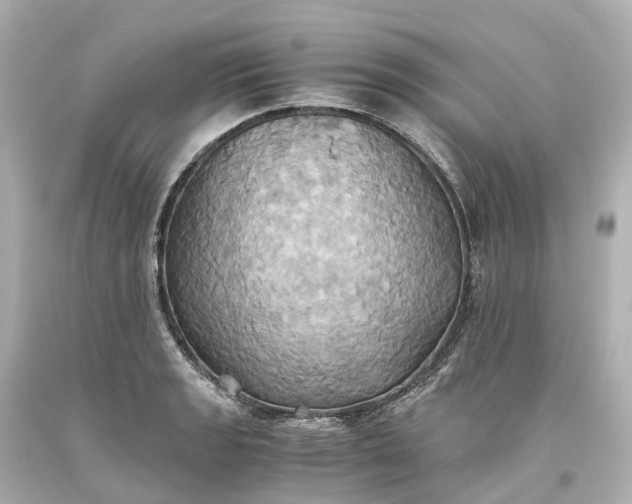 X0000093611133200710291200