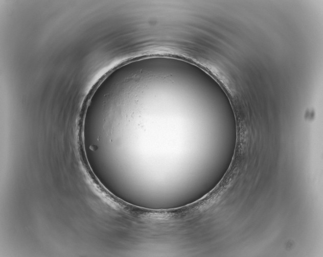 X0000093611134200710291200