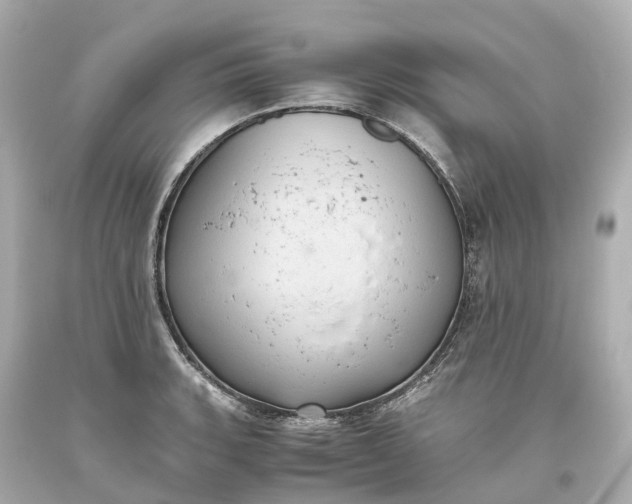 X0000093611135200710291200