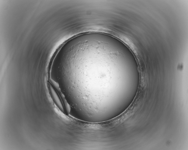 X0000093611136200710291200