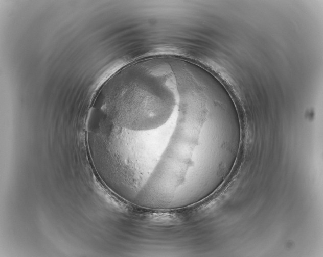 X0000093611137200710291200
