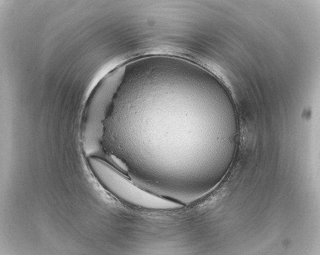 X0000093611138200710291200