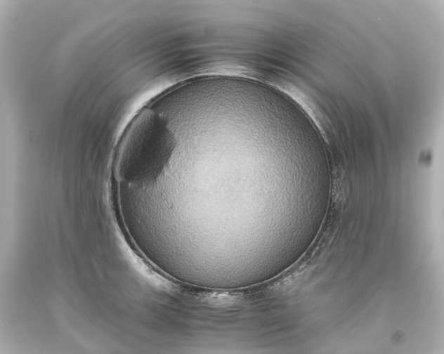 X0000093611139200710291200