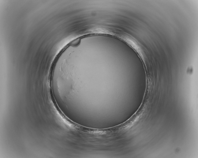 X0000093611141200710291200