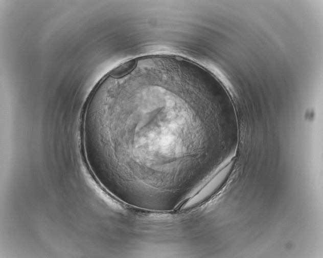 X0000093611142200710291200