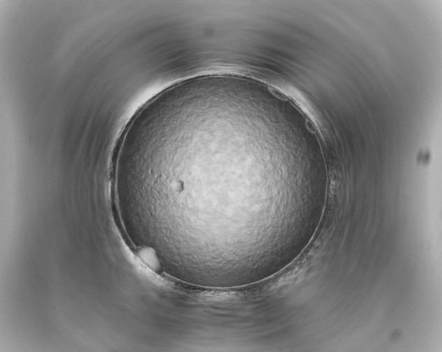 X0000093611143200710291200