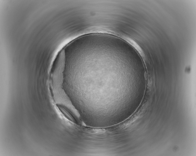 X0000093611144200710291200