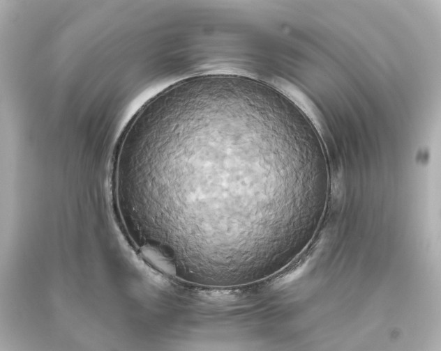 X0000093611149200710291200