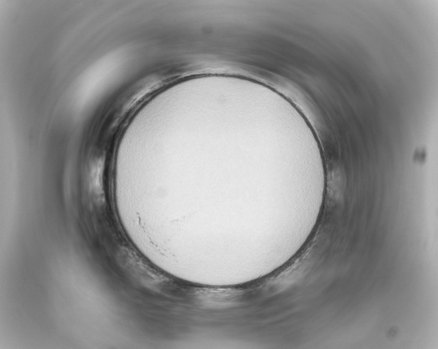 X0000093611150200710291200