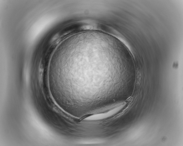 X0000093611151200710291200