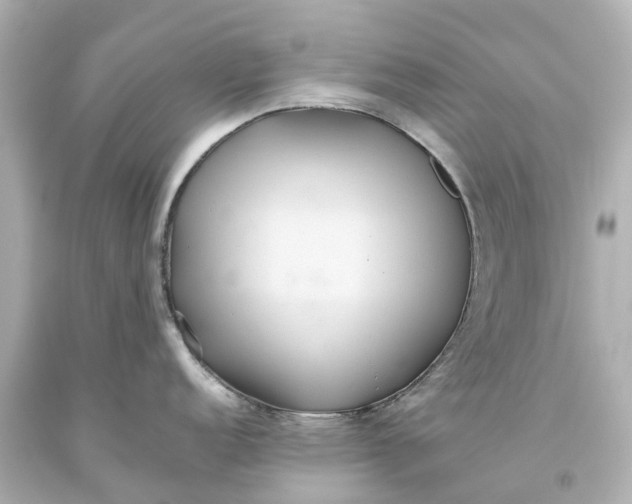 X0000093611152200710291200