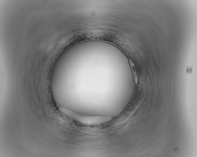 X0000093611153200710291159
