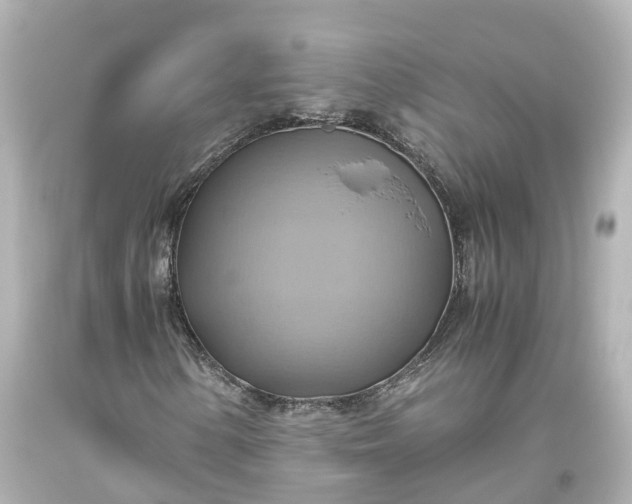 X0000093611154200710291159