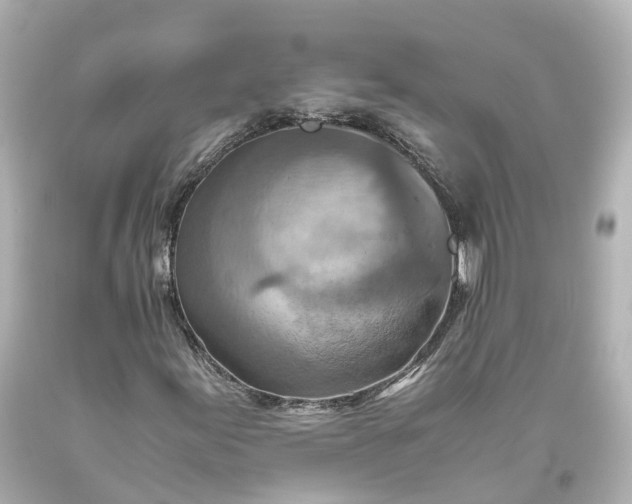 X0000093611155200710291159