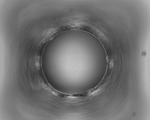 X0000093611156200710291159
