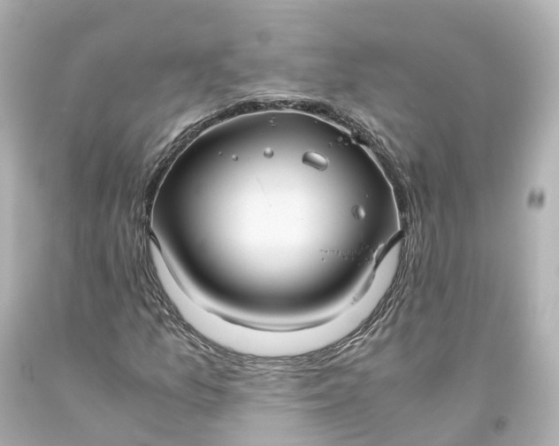 X0000093611157200710291159