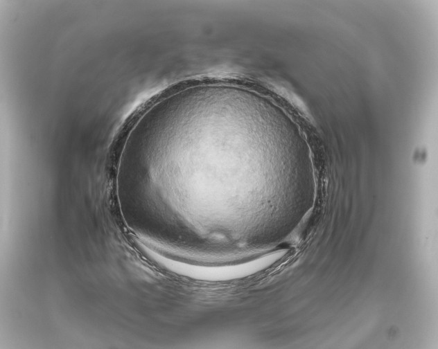 X0000093611160200710291159