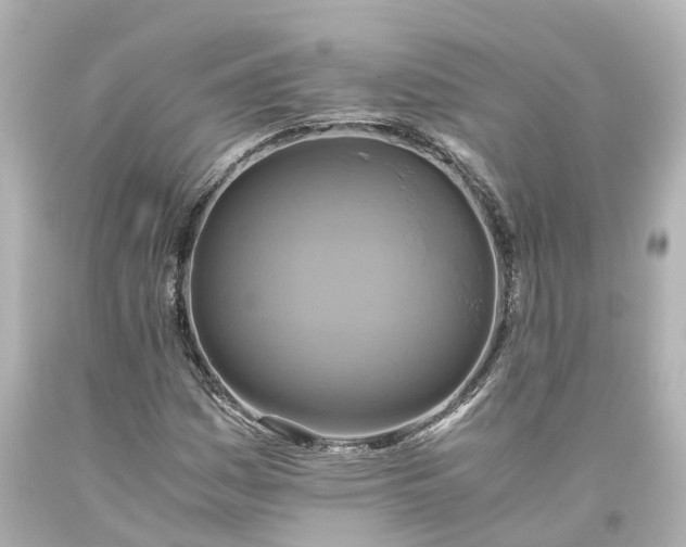 X0000093611161200710291159