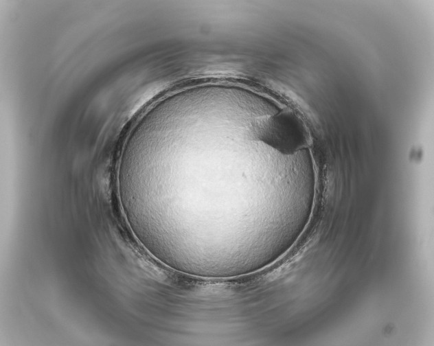 X0000093611162200710291159