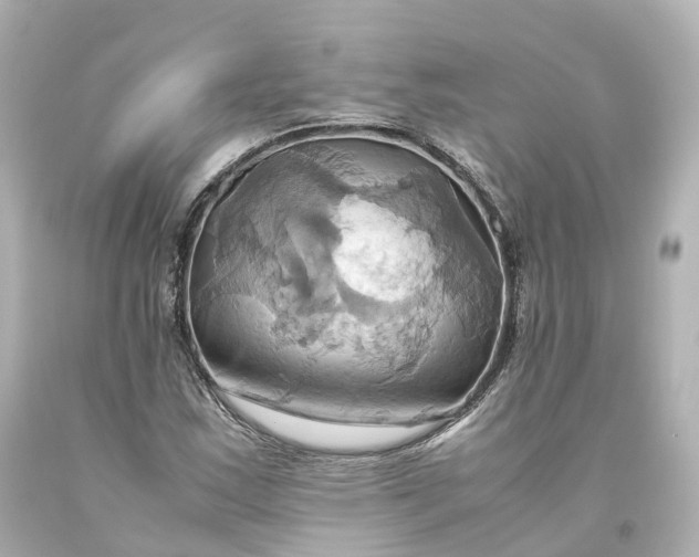 X0000093611163200710291159