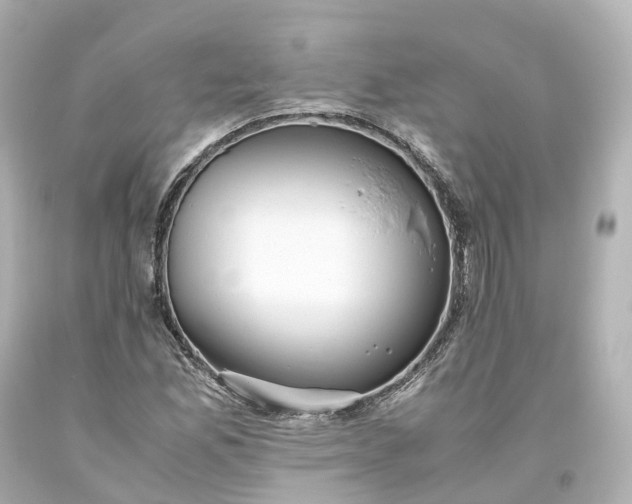 X0000093611165200710291159