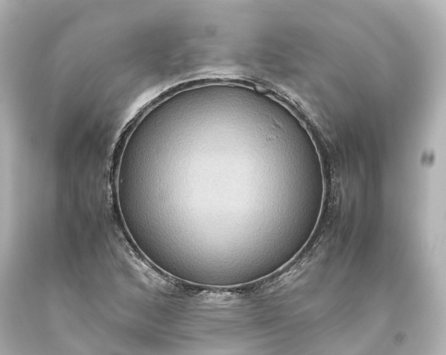 X0000093611168200710291159