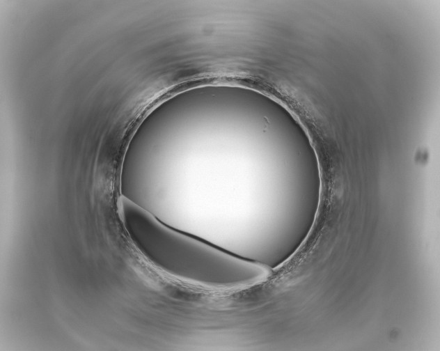 X0000093611169200710291159