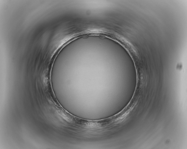 X0000093611170200710291159