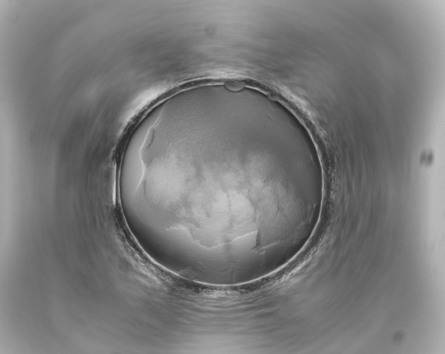 X0000093611171200710291159