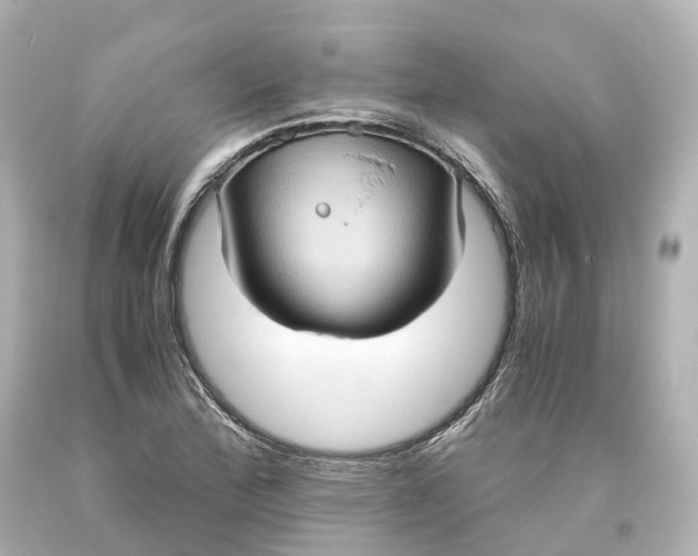 X0000093611172200710291159
