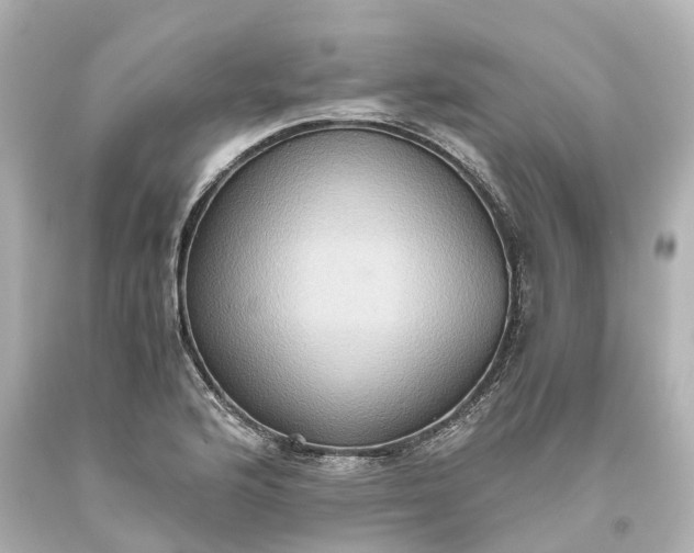 X0000093611176200710291159