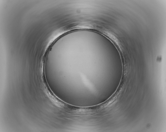X0000093611179200710291159