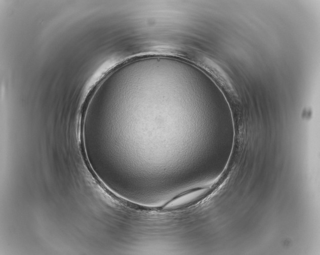 X0000093611180200710291159
