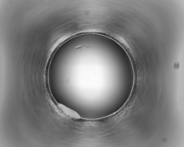 X0000093611181200710291159