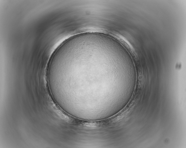 X0000093611182200710291159