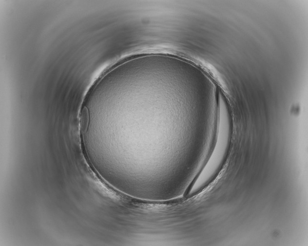 X0000093611184200710291159