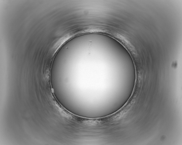 X0000093611185200710291159